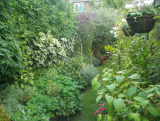 Late September view