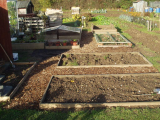 Raised beds moved
