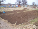 layout