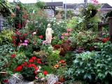July 2005