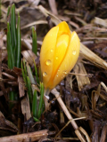 Feb 2006