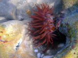 March 2007
