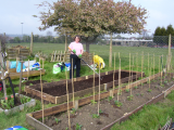 More raised beds!