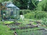 Veggie garden 2006