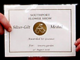 Silver Gilt