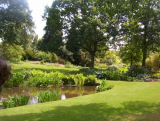 The Beth Chatto Gardens