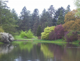 The lake at Kew Gardens