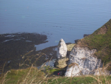 Flamborough Head