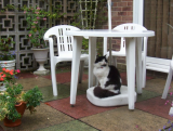 'Whenever is it going to stop raining?'