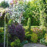May Flowers 2007