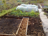 New Beds