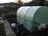 Polytunnel