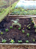 Flower bed
