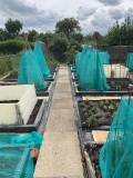 Early June 2019