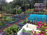 Across the plot, July 2015