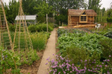 June 2008 front of plot