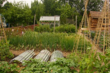 June 08 left side of plot