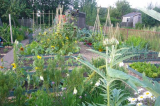 July 2007