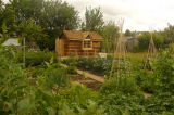 Across the plot..
