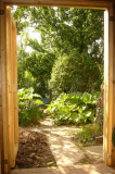 Looking out of the shed..
