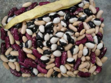Beans