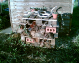 bugbox