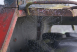 Web Site