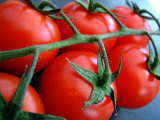 Vine ripened tomatoes