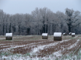 Straw bales