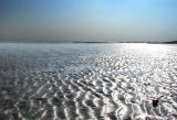 Beach at low tide