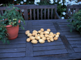 Milva from spud bag