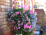 Flower Basket