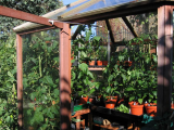 The Chilli House