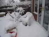 snow 5th jan 2010 in our garden