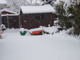 snow 5th jan 2010 in our garden