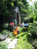the shed