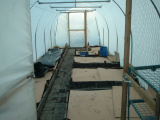 putting the beds to bed