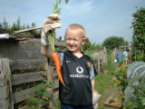 biggest carrot