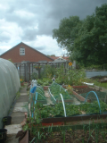 end june plot