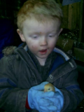 Callums first chick