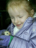 Amys first chick