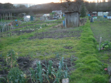 March 2007