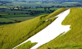 White Horse 