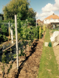 growing well