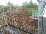 allotment 4