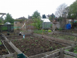 allotment 6