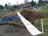 The Extension in the beginning