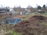 The Extension in the beginning 3