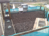 allotment 4