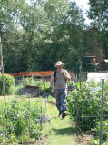 2010